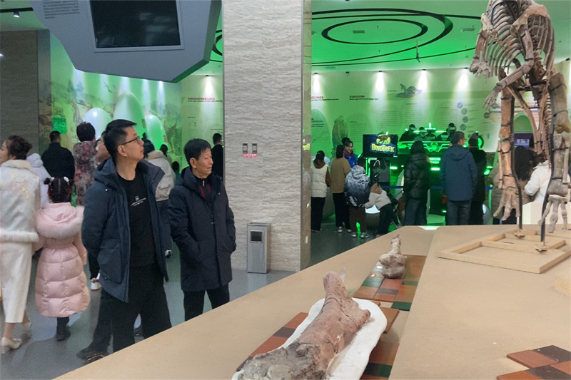2024 文旅项目 VR 设备选型新视角：政策赋能与技术创新驱动沉浸式体验升级